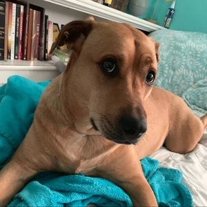 Meet your Posher, Martina